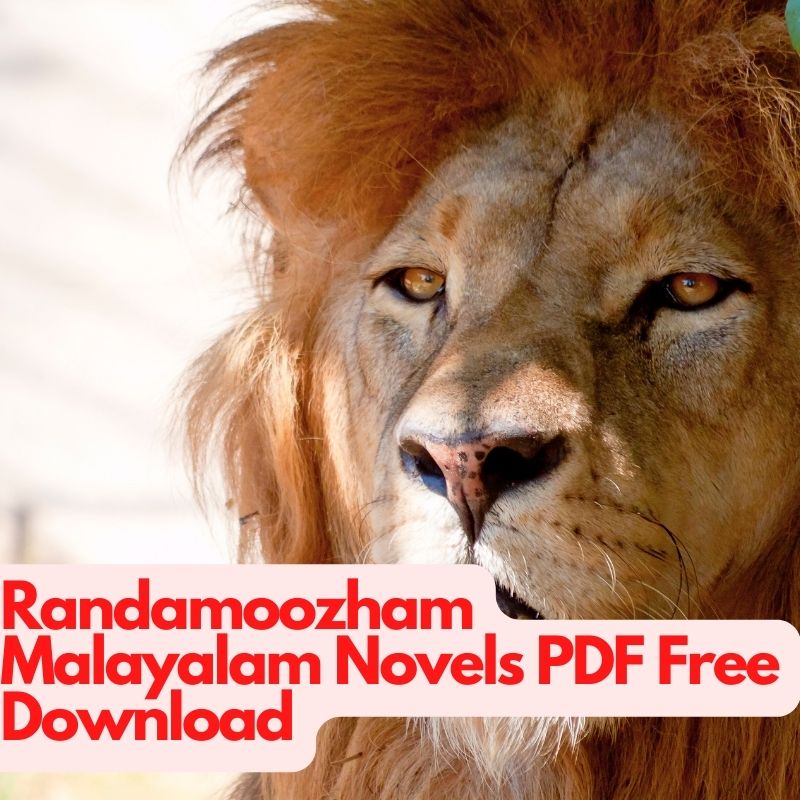 randamoozham-malayalam-novels-pdf-novels-tamil